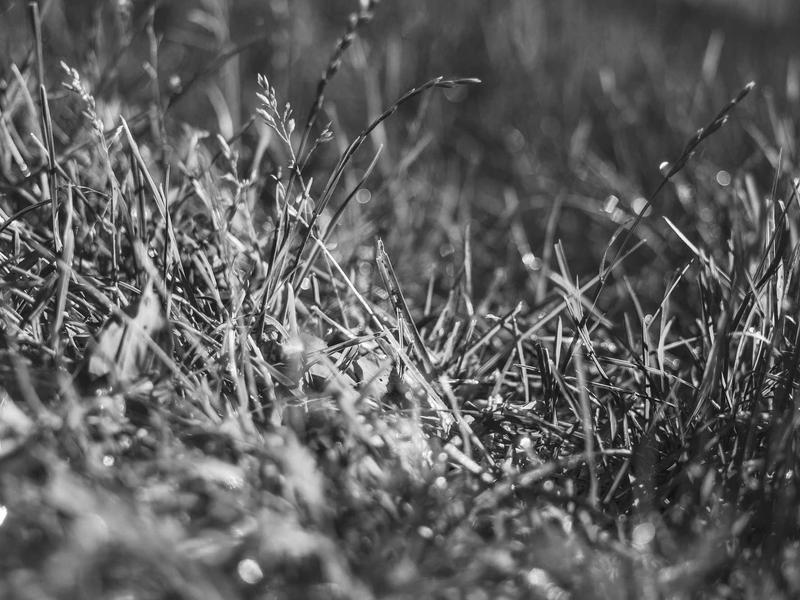 sudoku number puzzle screenshot 3